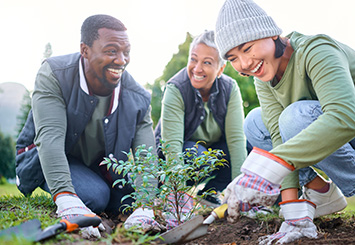 shutterstock_2256661347