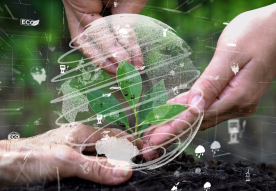 sustainable development-01